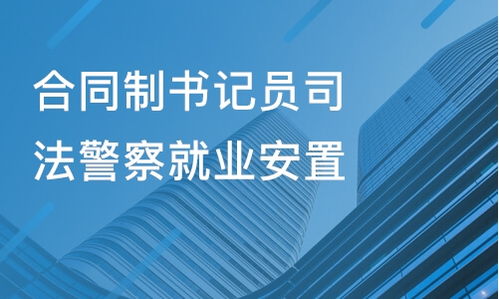 山東金柘教育與淘學(xué)培訓(xùn) 教育咨詢服務(wù)的真實體驗與深度解析