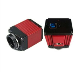 工業(yè)相機(jī)技術(shù)解析 CCD傳感器與VGA、USB接口的應(yīng)用